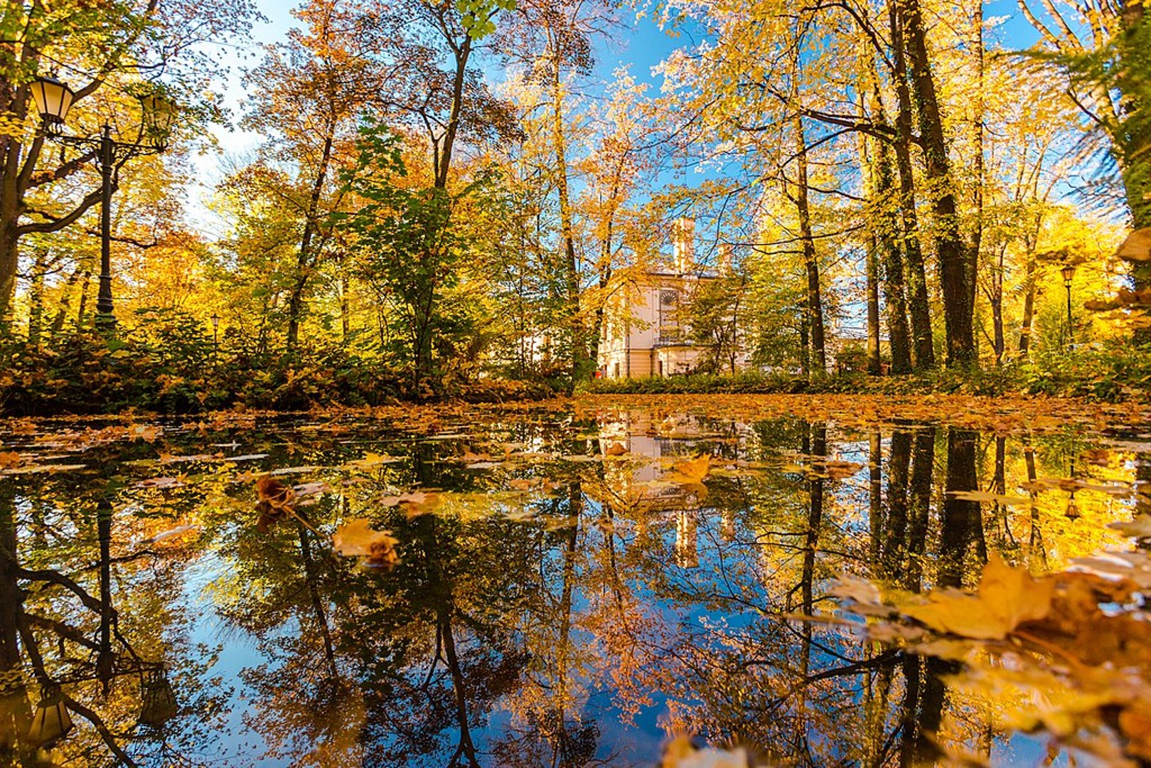 Bioveda Ewelina Zoń - Zdjęcie 1